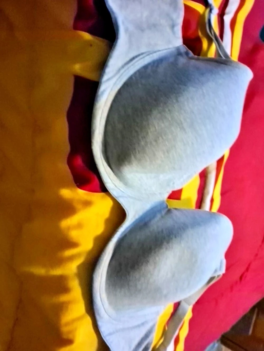 TORRID Gray 42D Used  Bra